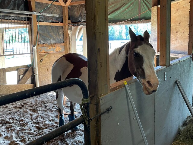 view of horse barn