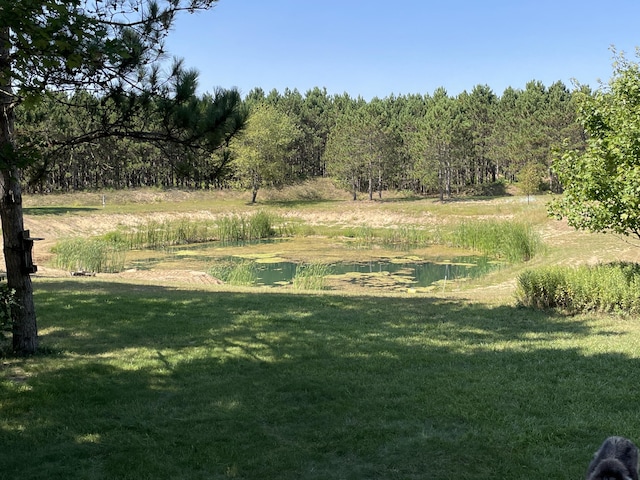 2622 S Sheridan Rd, Caro, MI 48723 - view of local wilderness