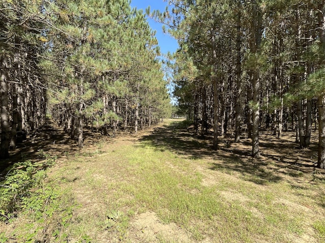2622 S Sheridan Rd, Caro, MI 48723 - view of yard