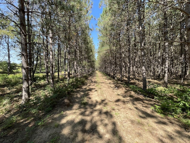 2622 S Sheridan Rd, Caro, MI 48723 - view of road