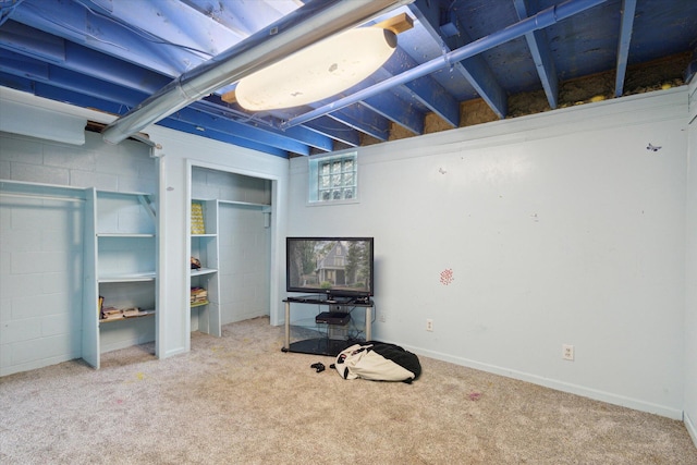 basement with carpet