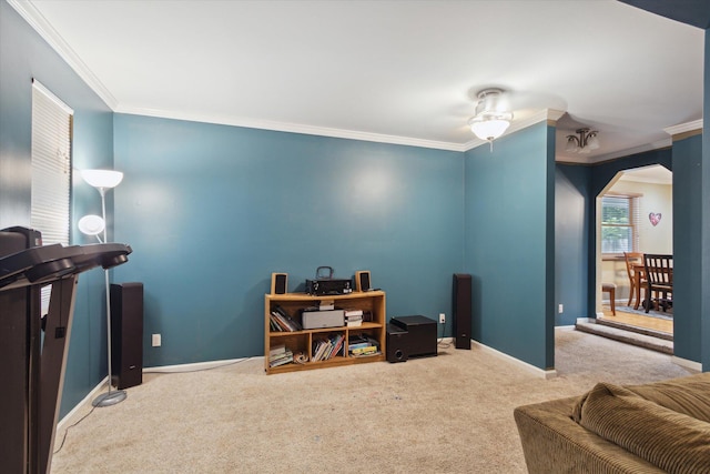 office area featuring carpet flooring, ceiling fan, and ornamental molding