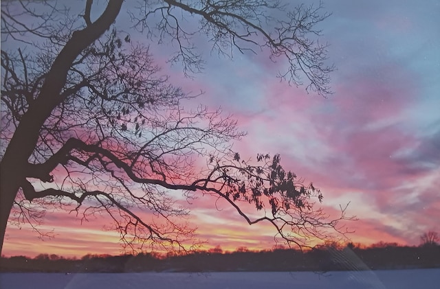 nature at dusk with a water view