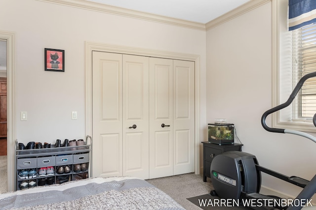 carpeted bedroom with crown molding and multiple windows