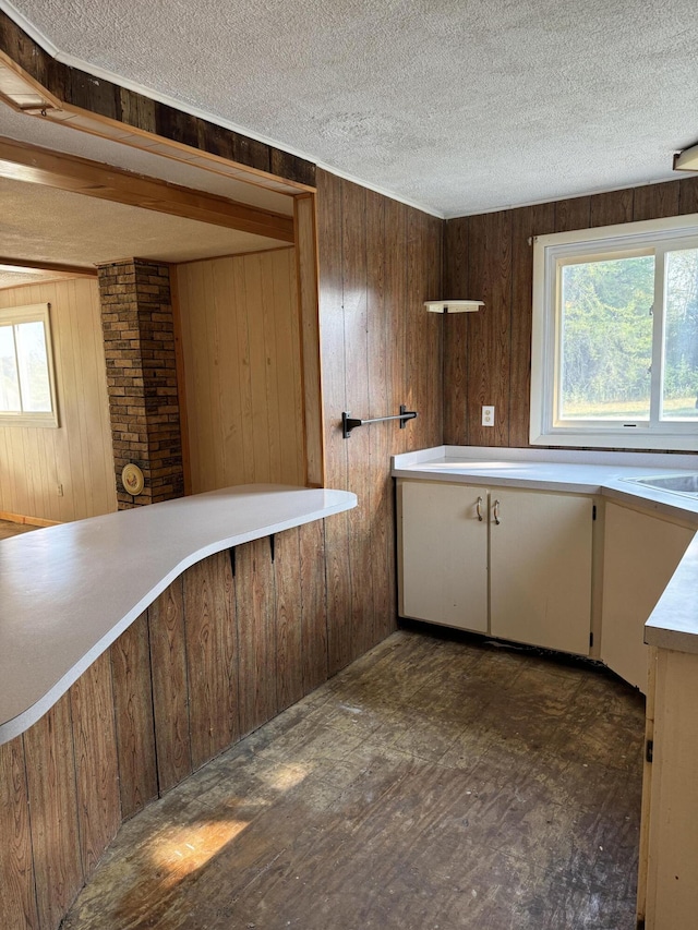 kitchen featuring wood walls, sink, and a textured ceiling