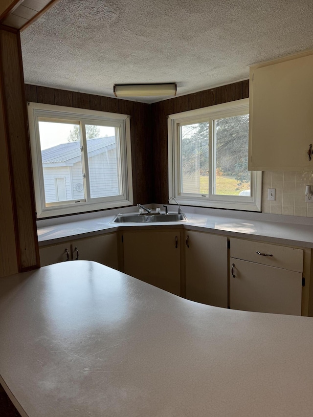 kitchen with a textured ceiling, sink, and wooden walls