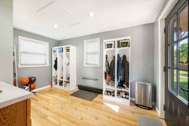 mudroom featuring light hardwood / wood-style floors and a wealth of natural light