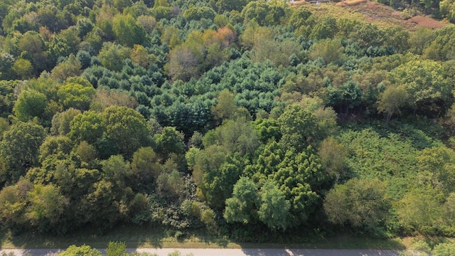 LOT3 Highfield Rd, Three Rivers, MI 49093