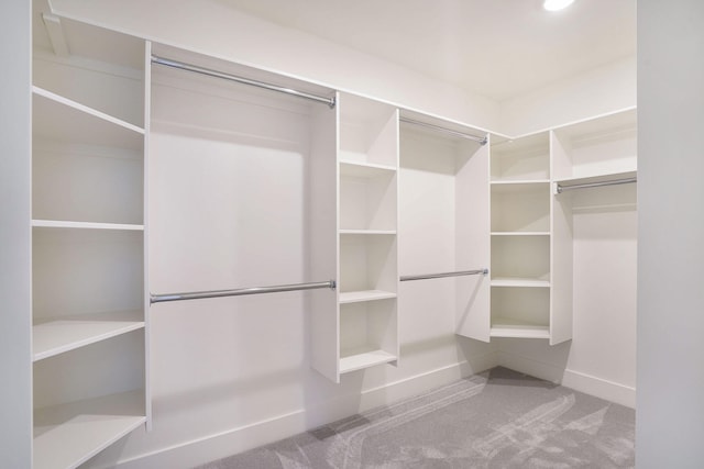 spacious closet with carpet