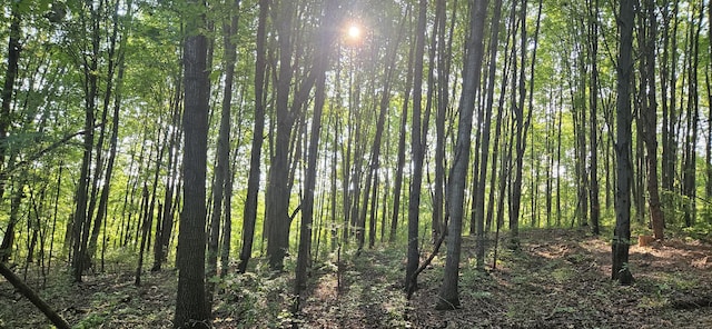 view of local wilderness