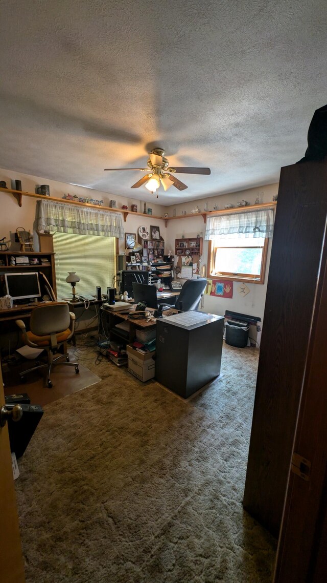 office space with a textured ceiling, carpet flooring, and ceiling fan