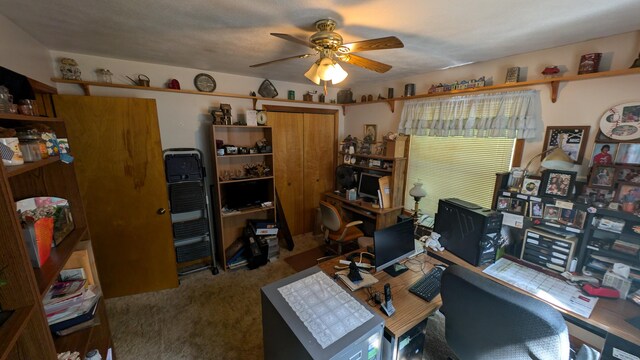 office featuring ceiling fan and carpet