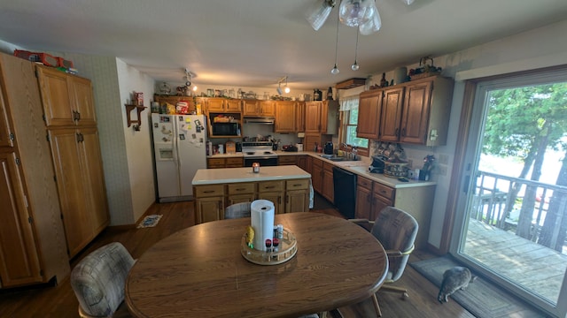 interior space featuring hardwood / wood-style flooring, sink, and ceiling fan