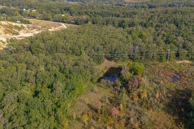 5750 Wood School Rd, Freeport, MI 49325 - photo 3
