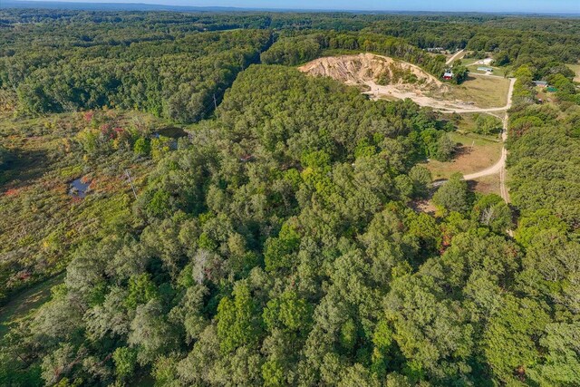 5750 Wood School Rd, Freeport, MI 49325 - photo 4