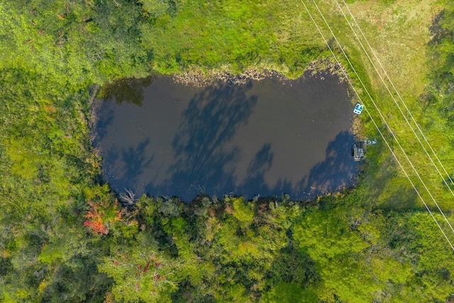 5750 Wood School Rd, Freeport, MI 49325 - photo 12