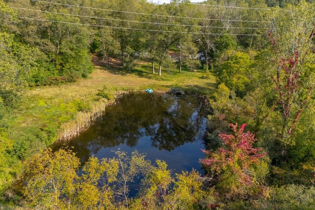 5750 Wood School Rd, Freeport, MI 49325 - photo 13