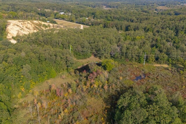 5750 Wood School Rd, Freeport, MI 49325 - photo 16