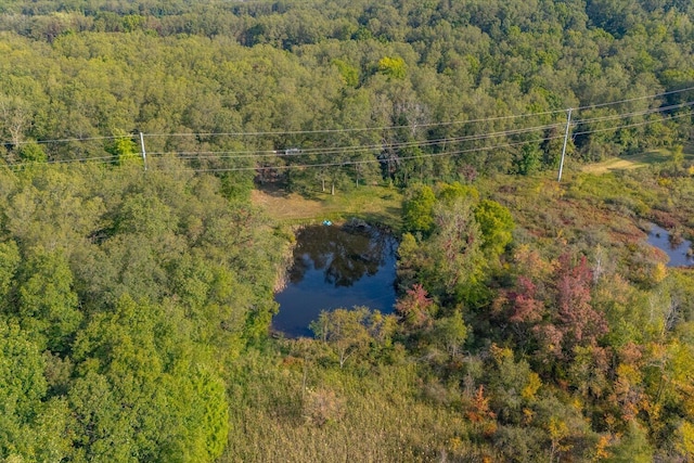 5750 Wood School Rd, Freeport, MI 49325 - photo 17