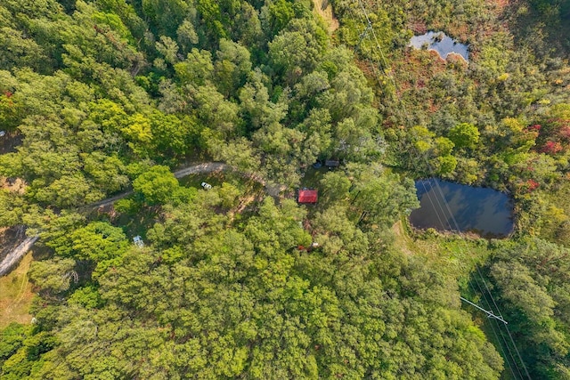 5750 Wood School Rd, Freeport, MI 49325 - photo 21
