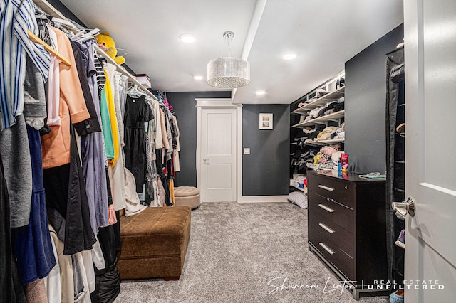 spacious closet featuring carpet flooring