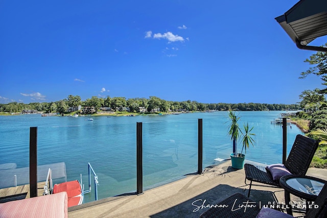 dock area with a water view