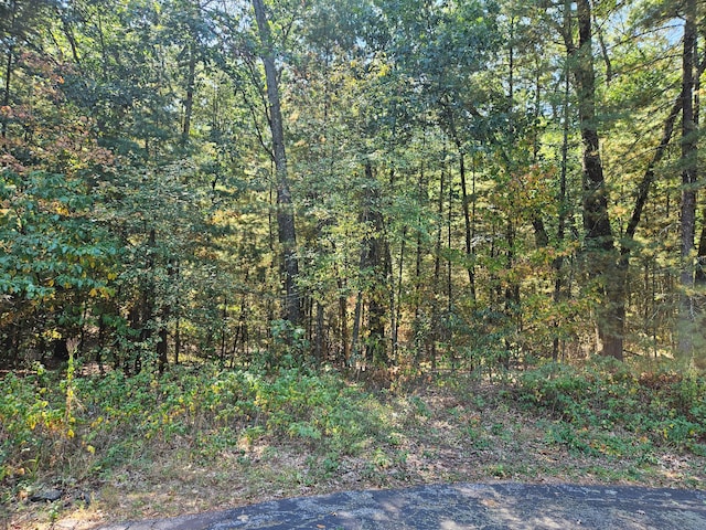 Listing photo 2 for LOT36 Wildwood Dr, Allegan MI 49010