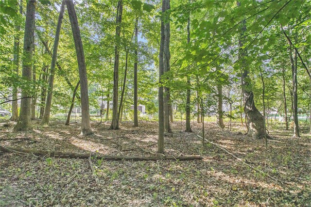 190 Jacaranda Dr, Battle Creek, MI 49015
