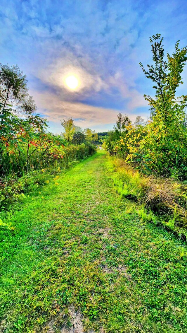 view of nature at dusk