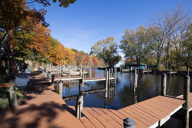 dock area with a water view