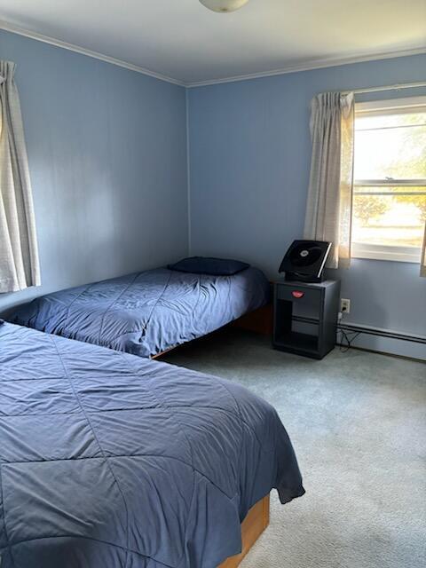 carpeted bedroom with ornamental molding