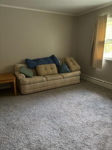 carpeted living room featuring ornamental molding