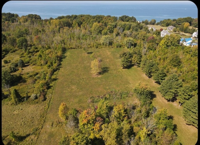 338 Blue Star Hwy, South Haven MI, 49090 land for sale