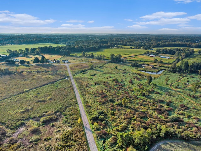 drone / aerial view featuring a water view and a rural view