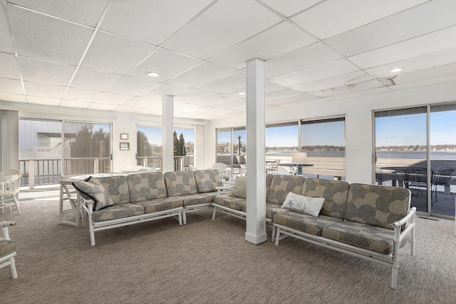 living area with a drop ceiling, carpet floors, and a healthy amount of sunlight