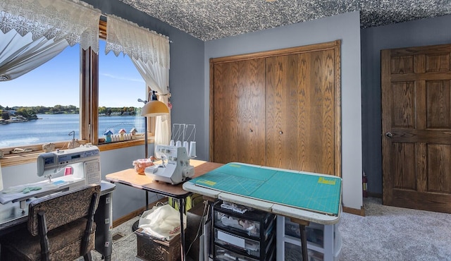 carpeted home office featuring baseboards and a water view