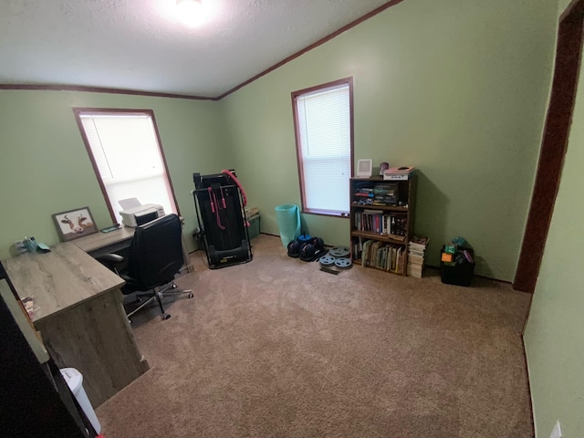 carpeted office featuring ornamental molding, vaulted ceiling, and a textured ceiling