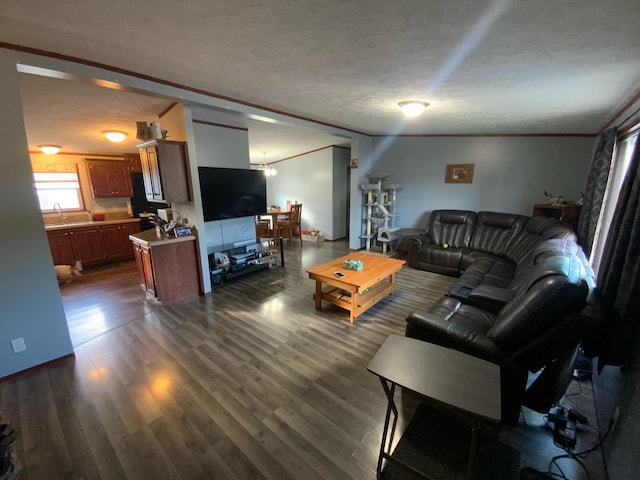 living room featuring ornamental molding, a textured ceiling, sink, and dark hardwood / wood-style flooring