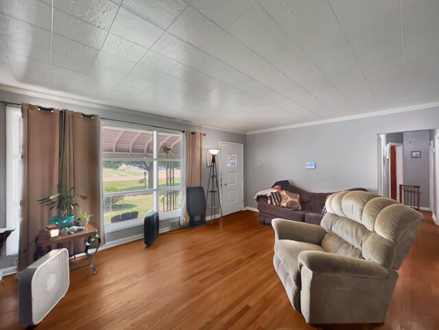 living room featuring wood-type flooring and crown molding