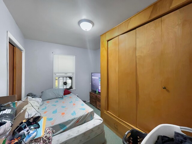 bedroom featuring carpet and a closet