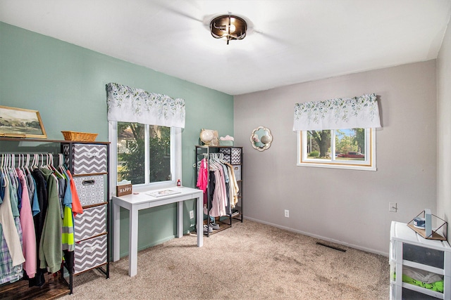 spacious closet with light colored carpet