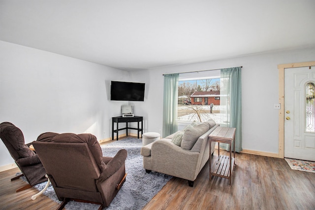 living room featuring hardwood / wood-style flooring