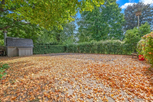 view of yard with a shed