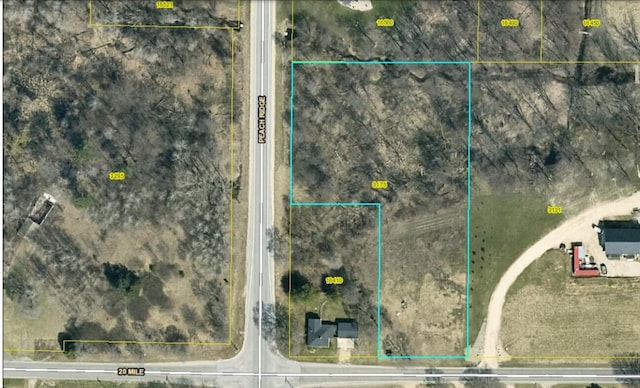 3175 20 Mile Rd, Kent City MI, 49330 land for sale