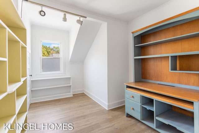 spacious closet with light wood-type flooring