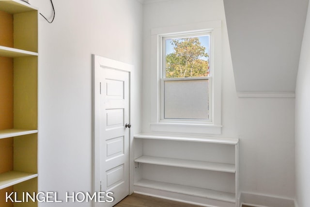 spacious closet with wood-type flooring