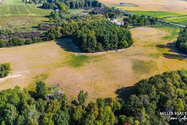 658 Mason Rd S, Nashville, MI 49073