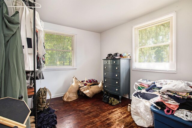 bedroom with multiple windows and dark wood-type flooring