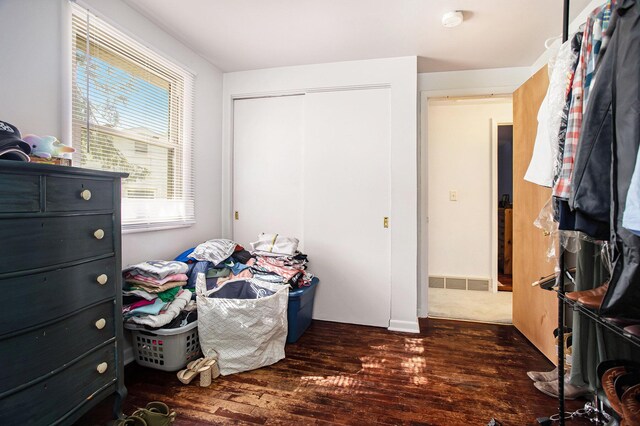 spacious closet featuring dark wood-type flooring