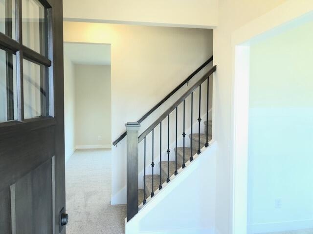 staircase featuring carpet